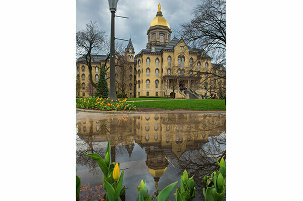 Spring Campus Puddle Reflectionx600