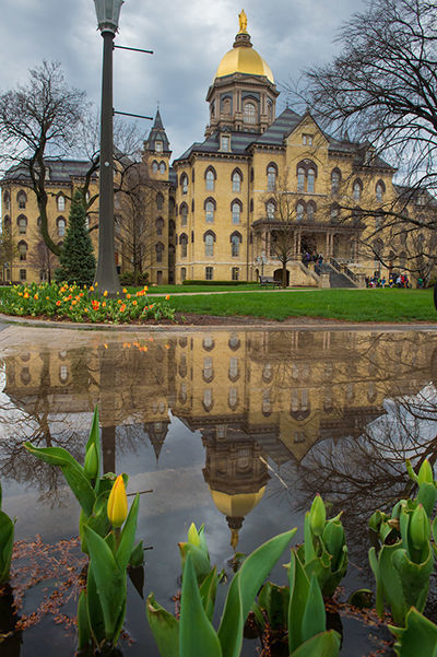 Spring Dome Puddle Reflection 400