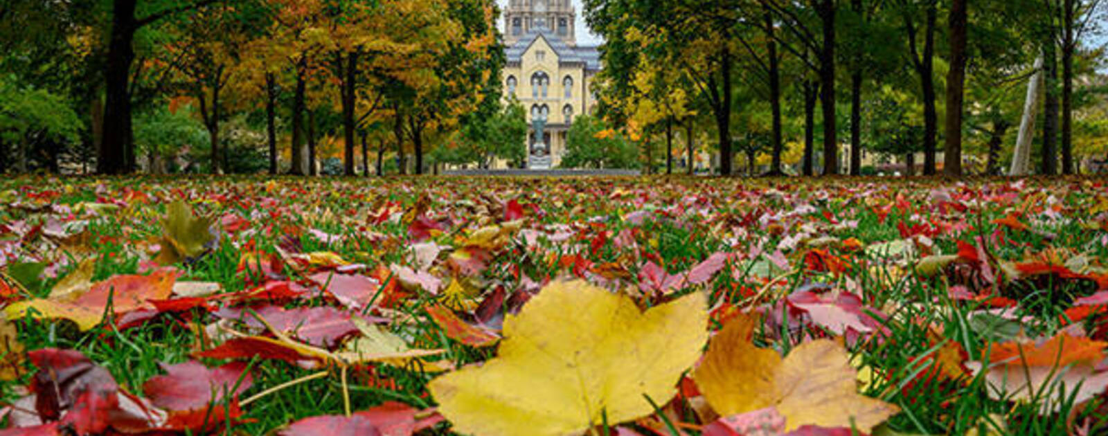 Midterm (Fall) Break 20211024 Events Notre Dame Events